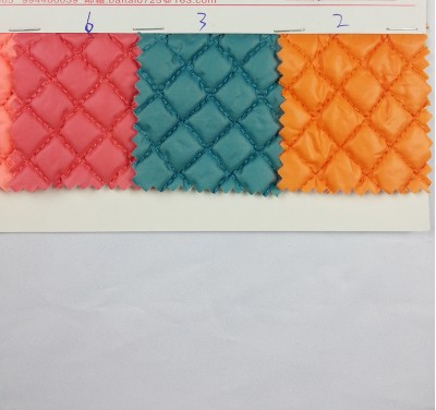 DG BITI 單線小四方格 A100-43夾棉 絲絨外套用 側面照